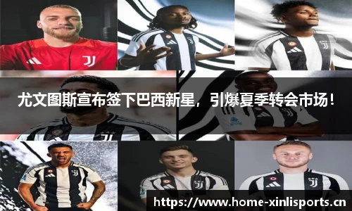 新利体育官网