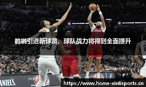 新利体育官网